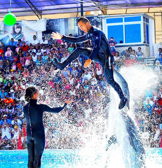 Dolphin show sharm