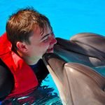 Book-a-swim-with-the-dolphin-sharm