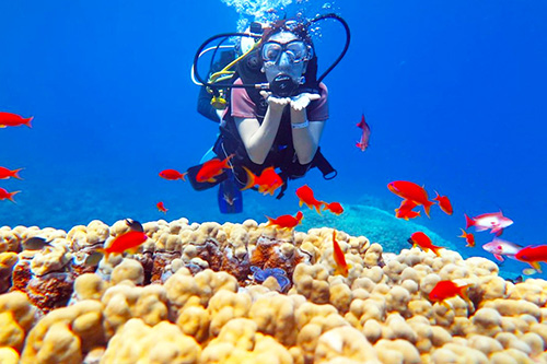 الاسماك-والشعاب-المرجانية-جزيرة-تيران