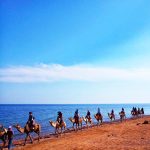 Camel-Riding-in-dahab