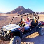 excursions-safari-buggy